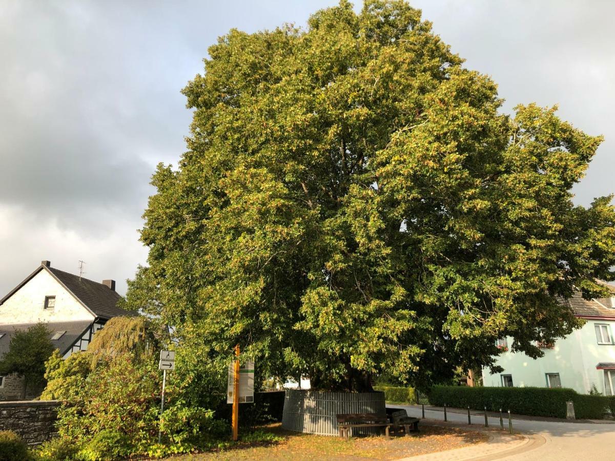 Heckenstuebchen Lägenhet Simmerath Exteriör bild